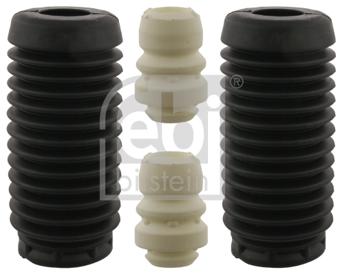 FEBI 106125