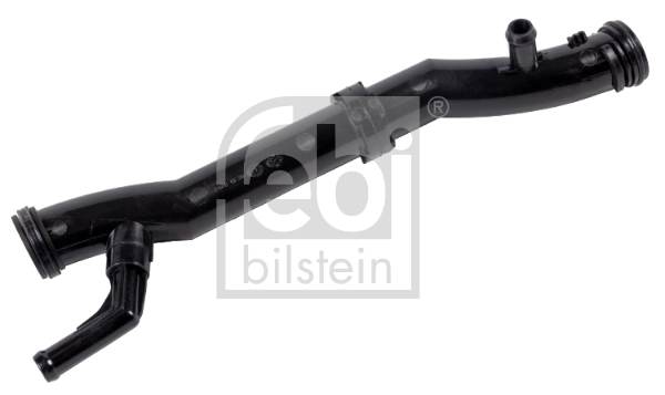 FEBI 176298