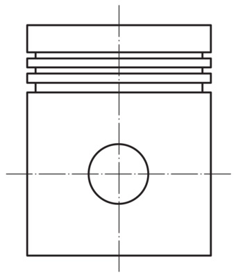 MAHLE 008 65 03