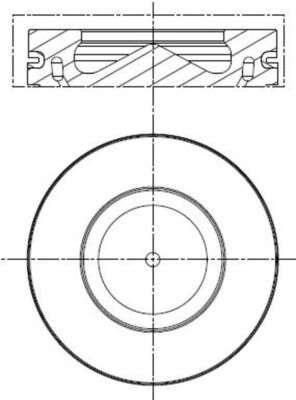 MAHLE 081 PI 00113 000