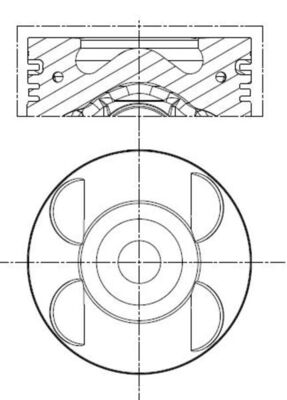 MAHLE 001 PI 00105 000
