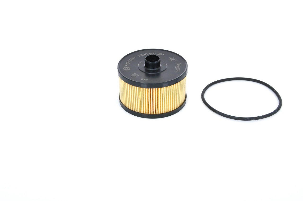 BOSCH F 026 407 231