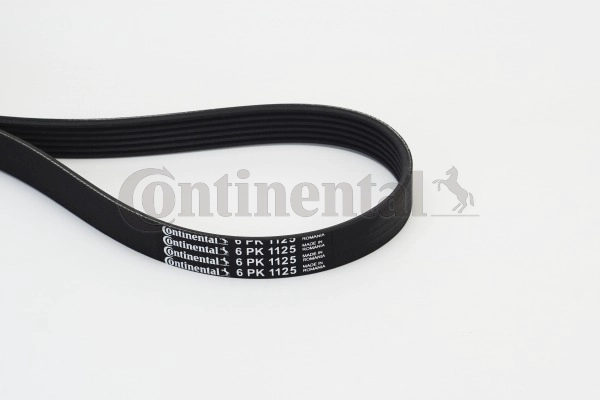 CONTITECH 6PK1125