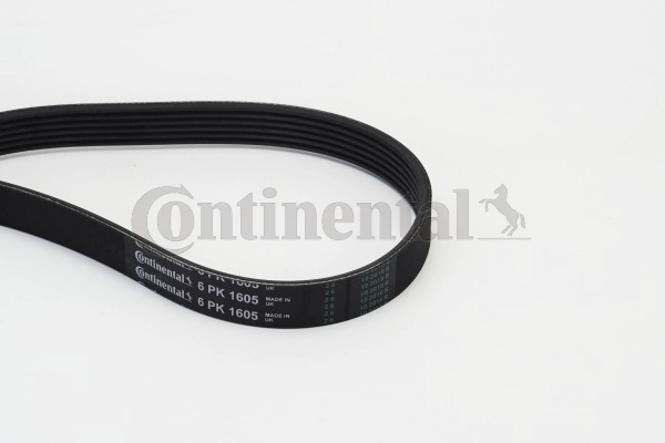 CONTITECH 6PK1605