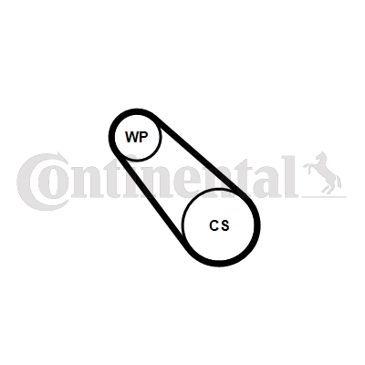 CONTITECH 3PK725 ELAST WP1