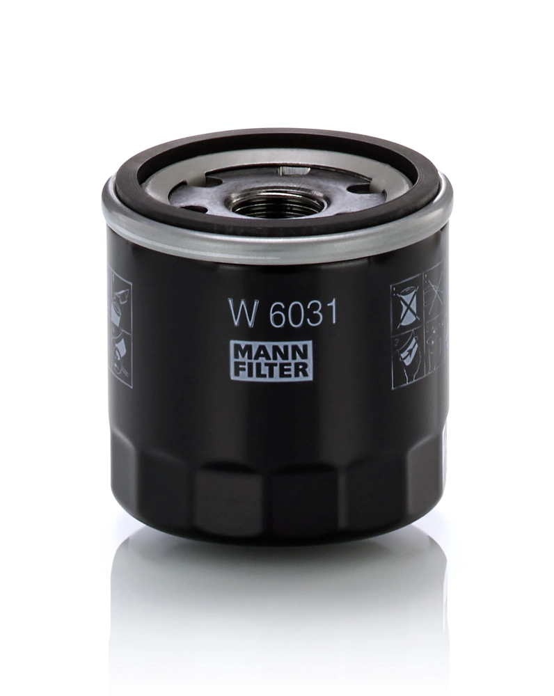 MANN W 6031
