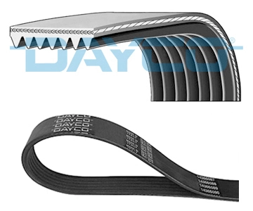 DAYCO 7PK1905