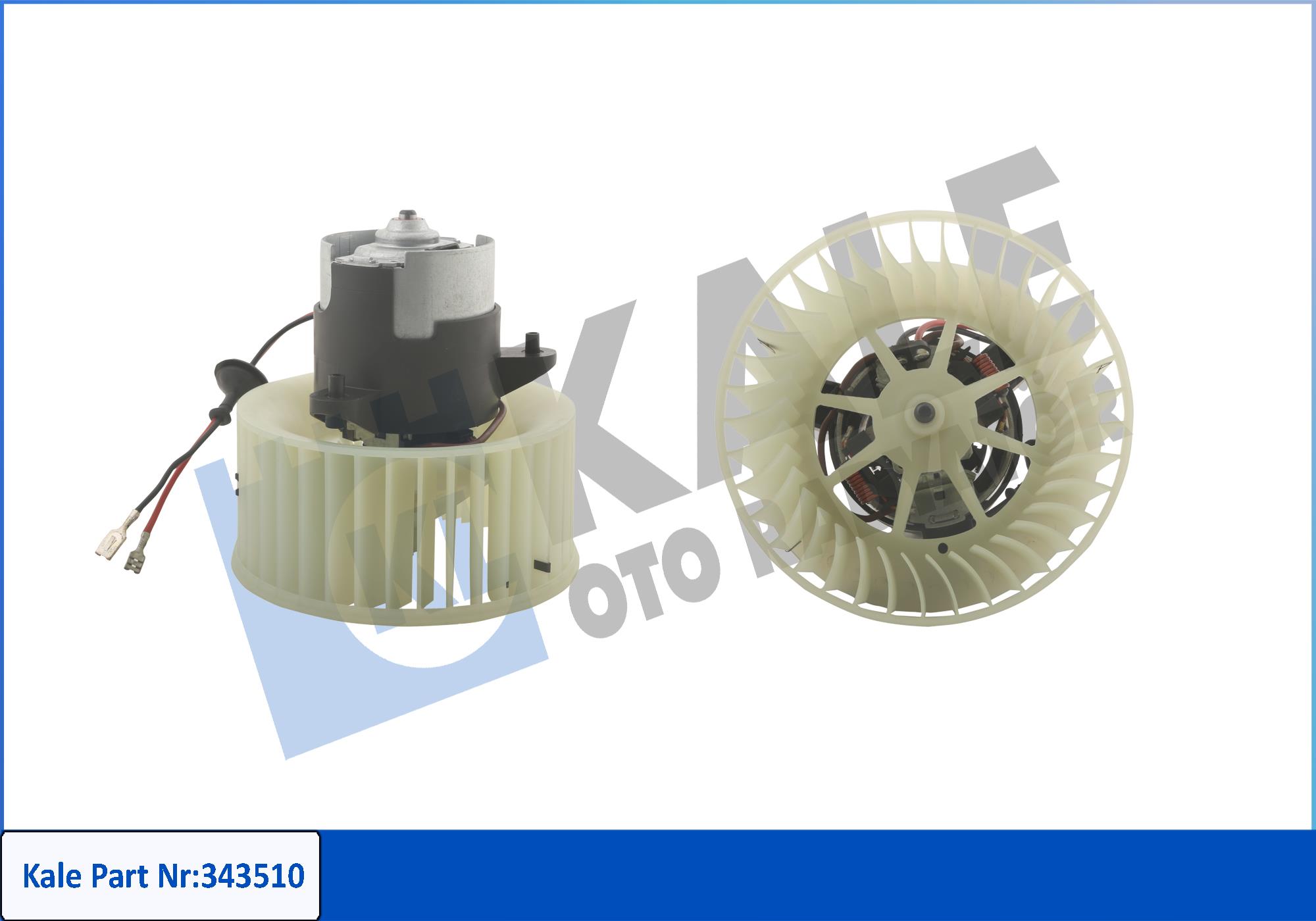 KALE 343510