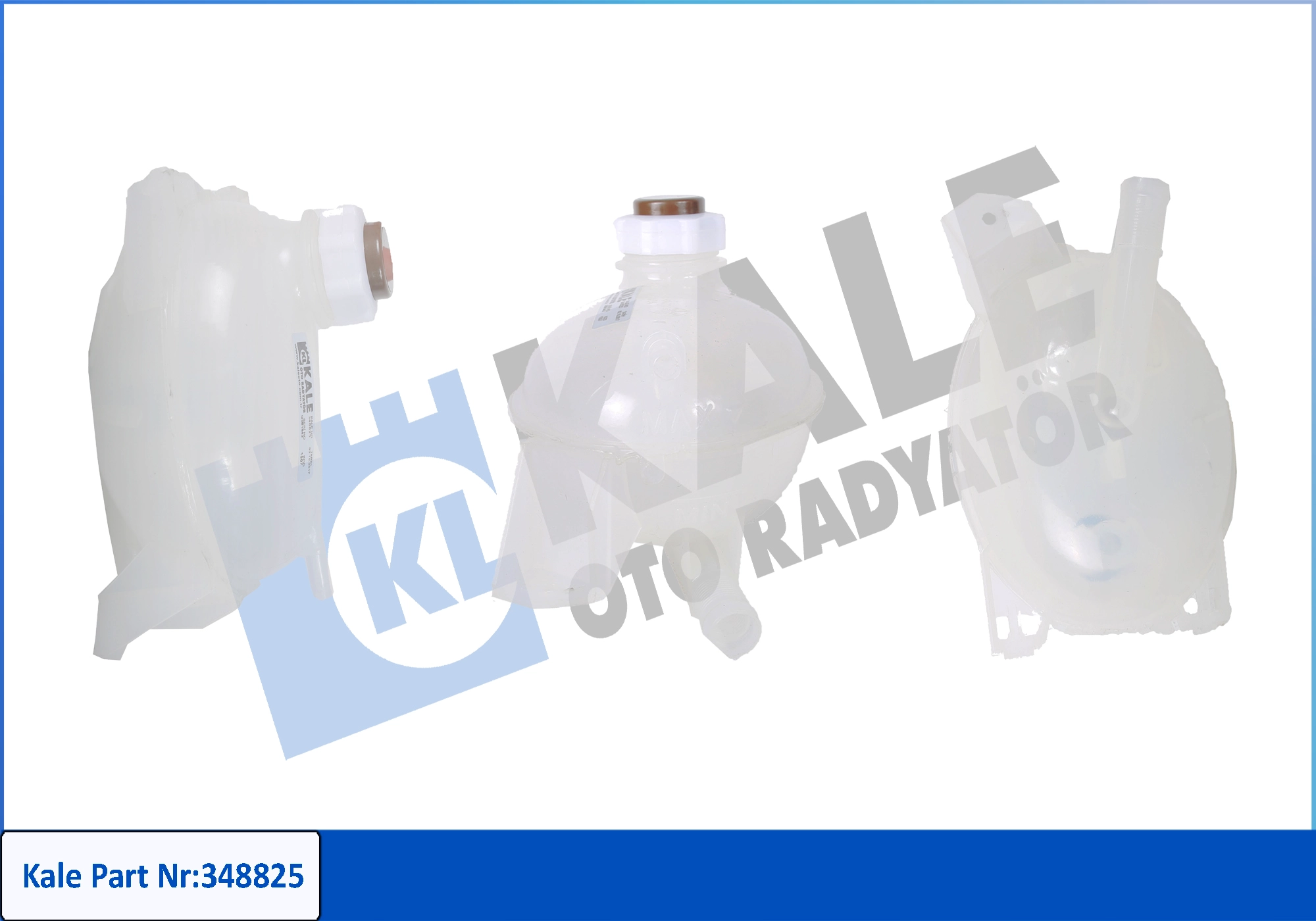 KALE 348825