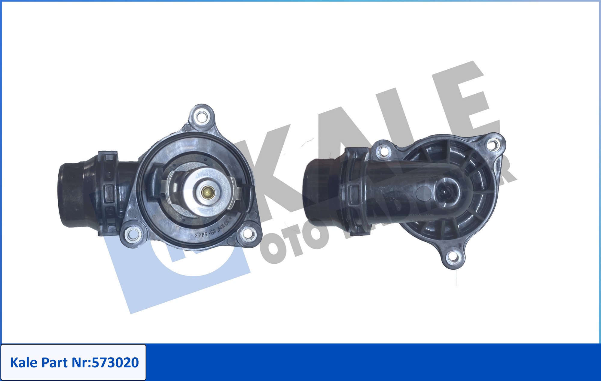 KALE 573020