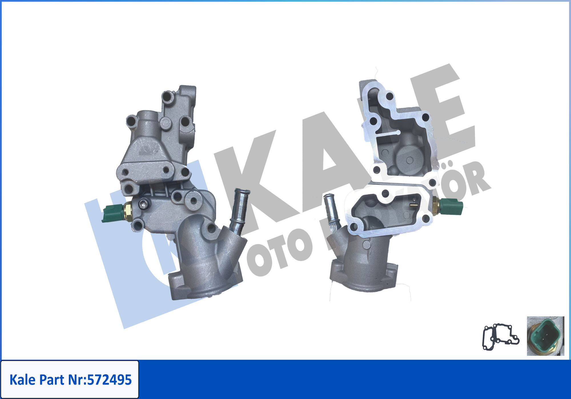KALE 572495