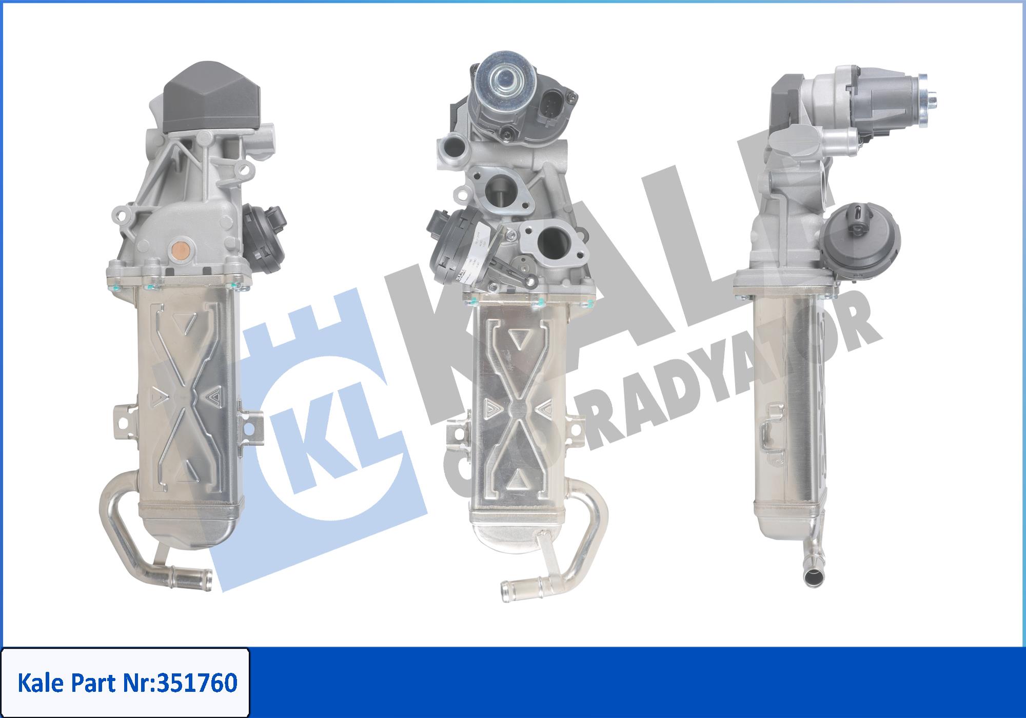 KALE 351760