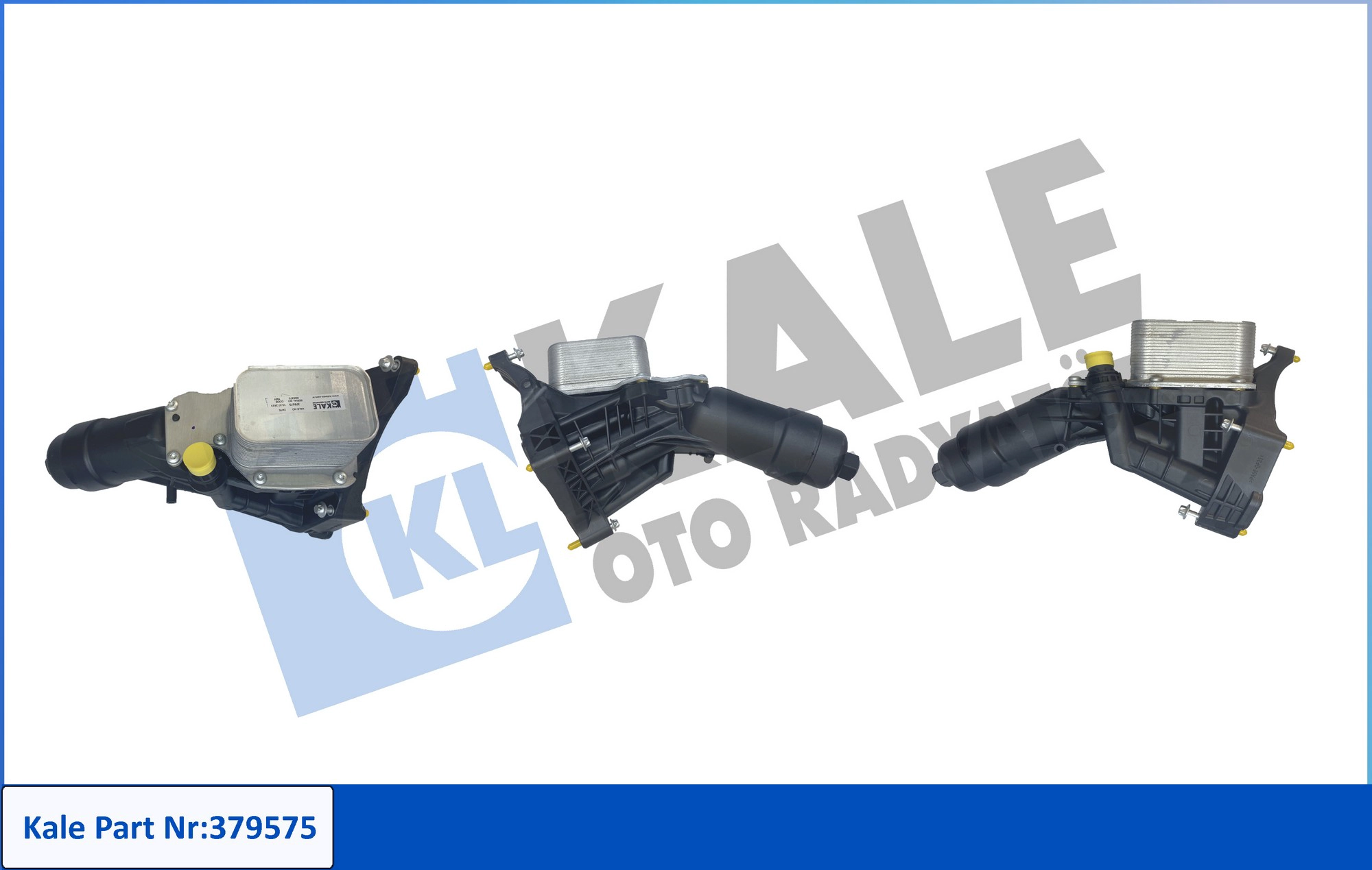 KALE 379575