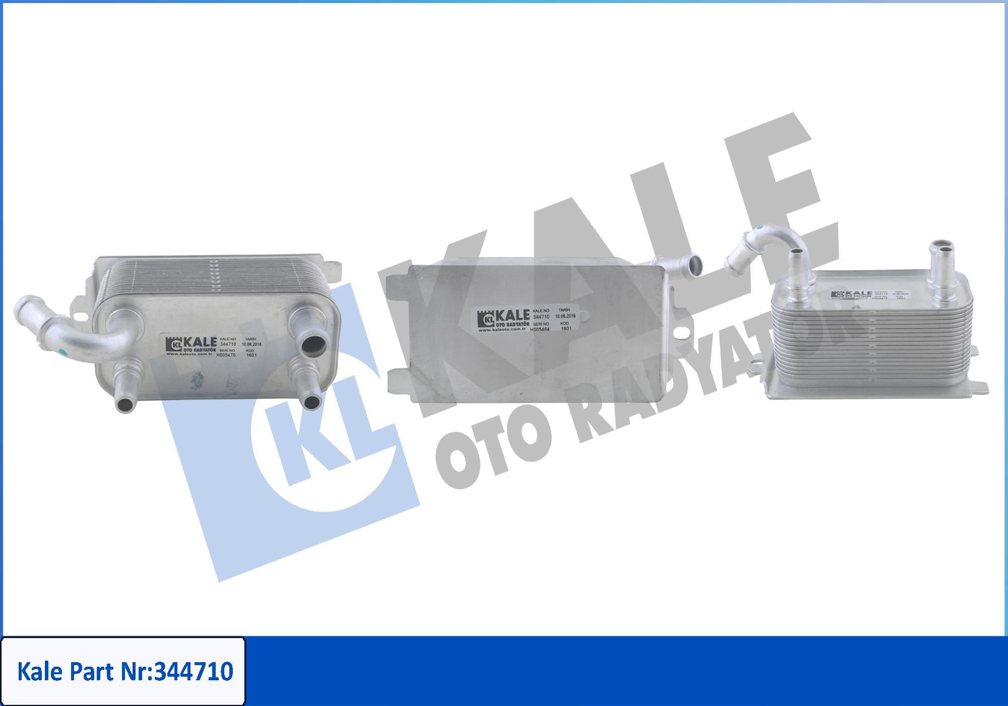 KALE 344710